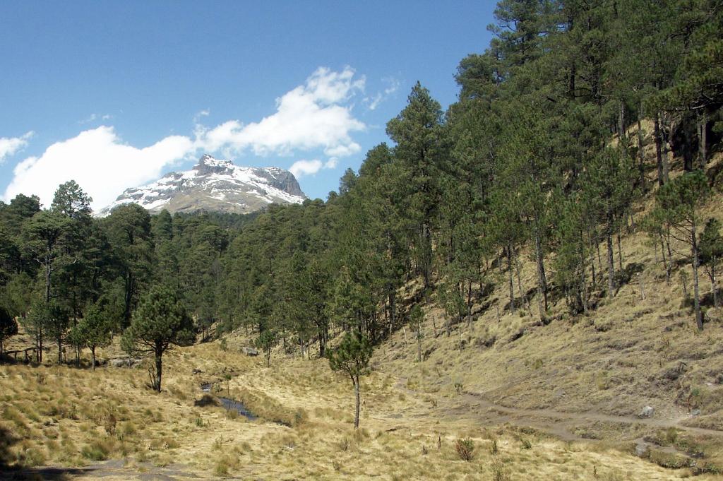 100214_Paso_de_Cortes 043.JPG